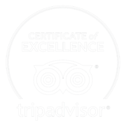 a close up of a piece of paper